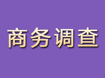 镶黄旗商务调查